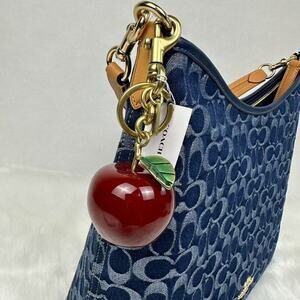 Coach Small Resin Apple Bag Charm In Brass / Red Multi NWT CY399